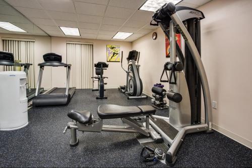 a gym with cardio equipment and tread machines at Holiday Inn Express Hotel & Suites Tampa-Oldsmar by IHG in Oldsmar