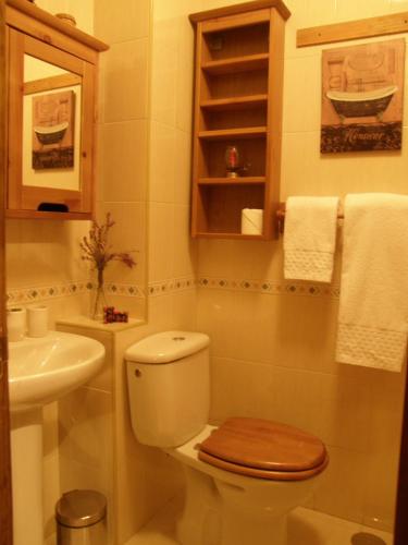 a small bathroom with a toilet and a sink at Chalet Rural El Encanto in Ojedo