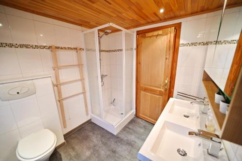 uma casa de banho com um WC, um lavatório e um chuveiro em Bironix em Biron