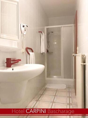 a bathroom with a white sink and a shower at Hotel Carpini in Bascharage