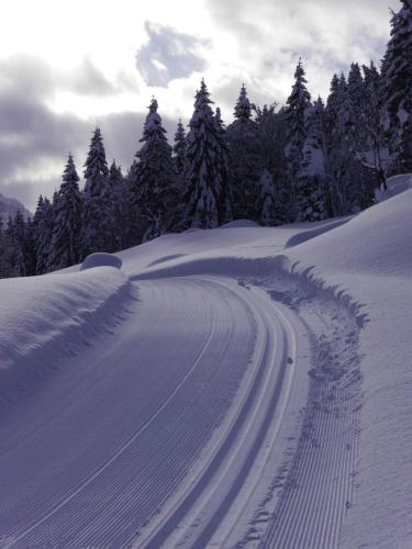 a snow covered road with trees in the background at Oberauhof Chalet in Kleinarl