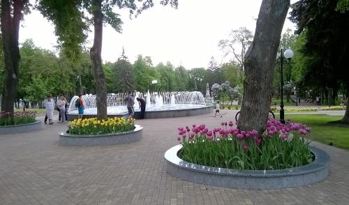 a park with flowers and a fountain in the background at Апартаменты в центре (Красная площадь) in Chernihiv