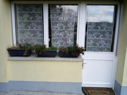 a white door with potted plants in front of a window at Le Yanis in Lausanne