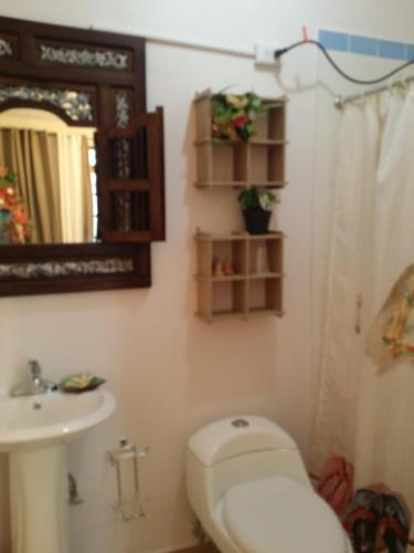 bagno con servizi igienici, lavandino e specchio di Casa Bonita Inn a La Parguera