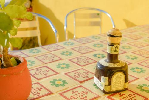 a bottle of wine sitting on a table next to a plant at AH KIN Cancun Centro in Cancún