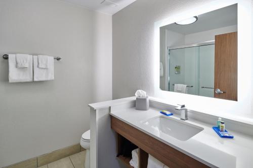 a bathroom with a sink and a mirror at Holiday Inn Express & Suites El Paso - Sunland Park Area by IHG in El Paso