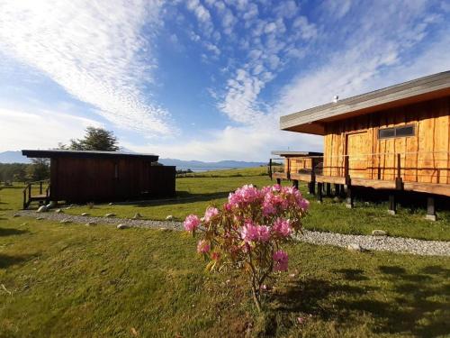 a wooden cabin in a field with pink flowers at Karibuni - Familiar Lodging & Private Spa in Villarrica