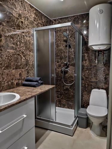 a bathroom with a shower with a toilet and a sink at Loft возле парка, стадиона и озера in Ivano-Frankivsʼk