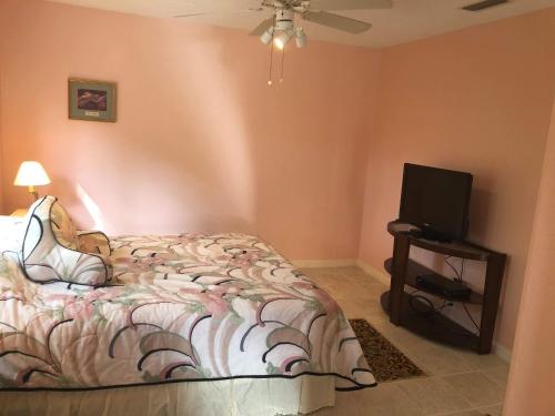 Billede fra billedgalleriet på Beautiful Quiet Studio!! i Sarasota