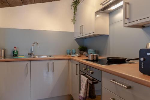 Kuchyň nebo kuchyňský kout v ubytování Apartment SHEPS in Kaprun