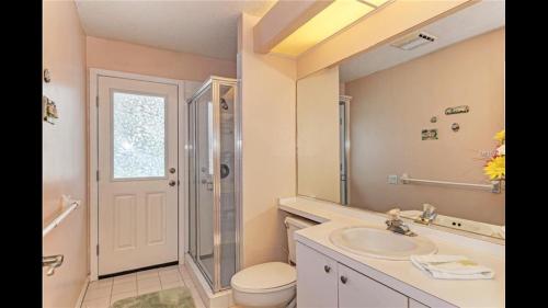 a bathroom with a sink and a toilet and a shower at Beautiful Quiet Studio!! in Sarasota