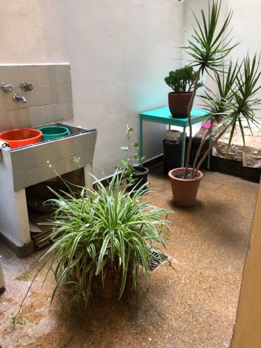 baño con macetas y lavamanos en Belgrano Apartment Near Metro, wi fi en Buenos Aires