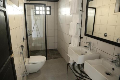 a bathroom with a sink and a toilet and a mirror at Little Garden Guest House in Udaipur