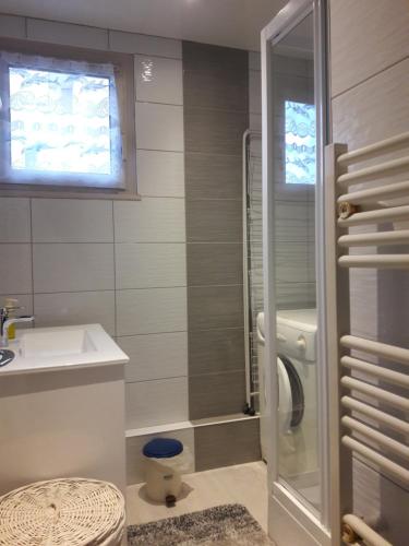 uma casa de banho com um chuveiro, um lavatório e um WC. em Charmant T2 rénové RDC Résidence quartier pavillonnaire em Argelès-Gazost