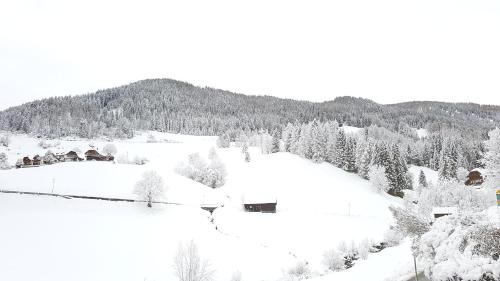 a village covered in snow with trees and mountains at Residence Alba Montis in Bad Kleinkirchheim