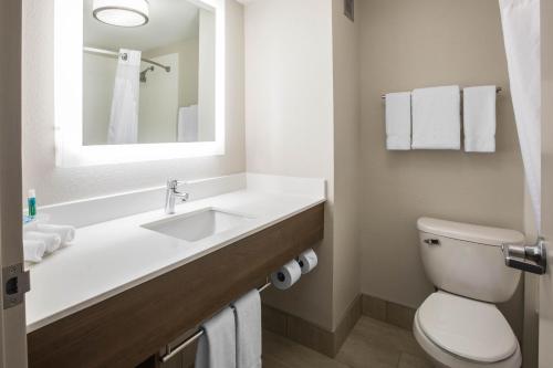 a bathroom with a sink and a toilet and a mirror at Holiday Inn Express & Suites Ludington by IHG in Ludington