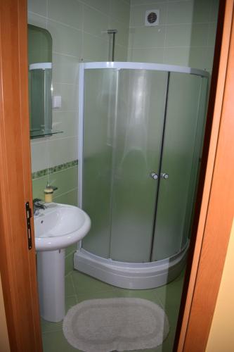 a bathroom with a glass shower and a sink at Dunavski Kej in Smederevo