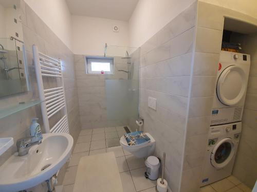 een badkamer met een wastafel en een wasmachine bij Husum Zentrum bis 7 Personen. in Husum