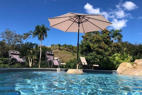 a pool with chairs and an umbrella and a dog in it at CARMELORIA III in Rincon