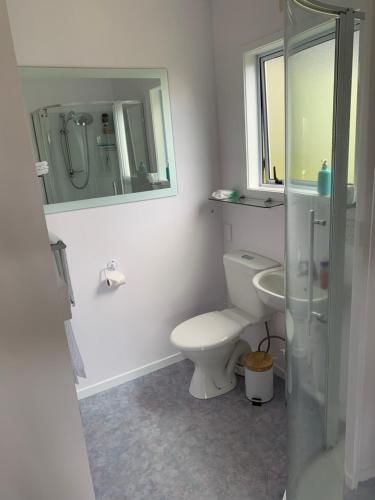 a bathroom with a toilet and a sink and a mirror at Hibiscus Bed & Breakfast in Waihi Beach