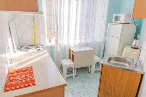 a small kitchen with a sink and a refrigerator at Квартира по улице Цитадельная 4 in Kyiv