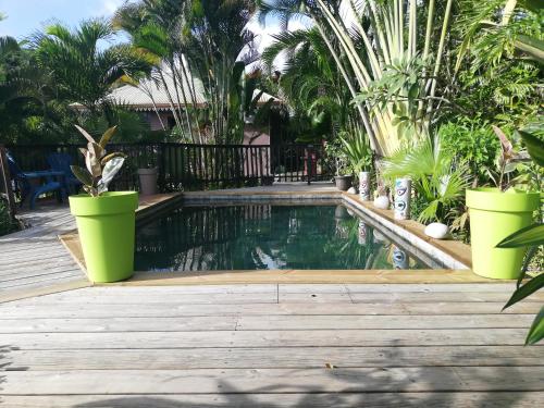 a swimming pool with two green potted plants at Vanille Lodge in Le Marin