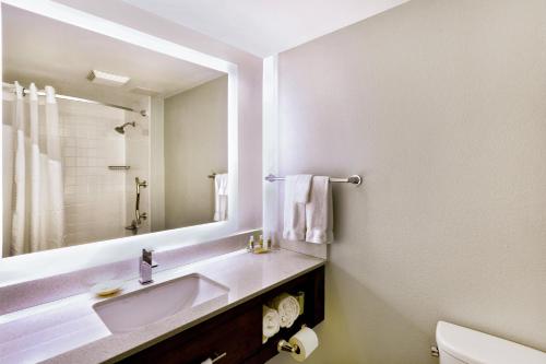 Ένα μπάνιο στο Holiday Inn Miami West - Airport Area, an IHG Hotel