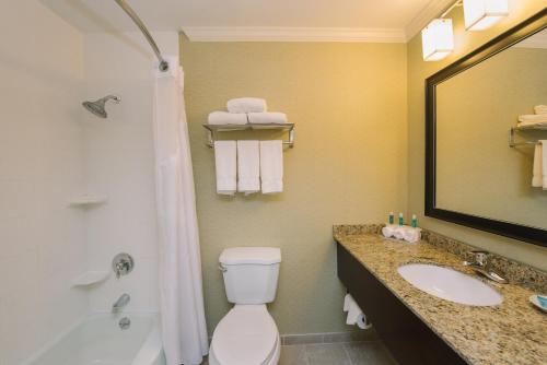 a bathroom with a toilet and a sink and a shower at Holiday Inn Express and Suites Merrimack by IHG in Merrimack