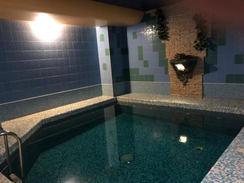 a bathroom with a swimming pool in a minecraft room at Гостиница Домино in Tyumen