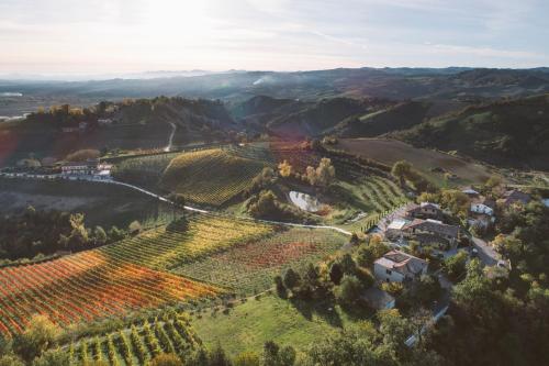 an aerial view of a vineyard in the hills with a house at Agriturismo Acetaia Sereni in Marano sul Panaro