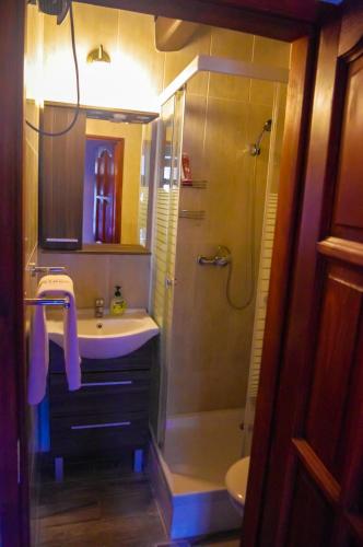 a bathroom with a sink and a shower at Grabensia Fogadó in Garáb