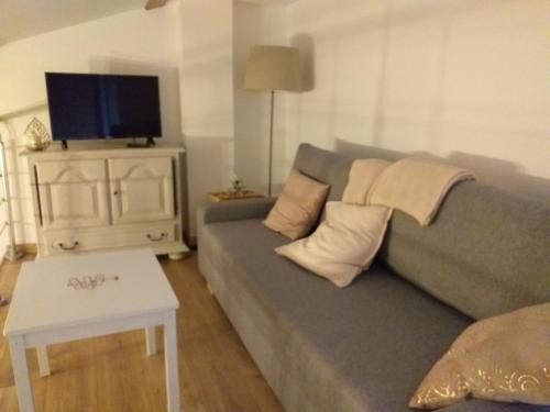 ein Wohnzimmer mit einem grauen Sofa und einem TV in der Unterkunft Gîte Terre in Saint-Laurent-de-Médoc