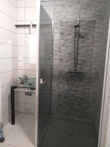 eine Dusche mit Glastür im Bad in der Unterkunft Gîte Terre in Saint-Laurent-de-Médoc