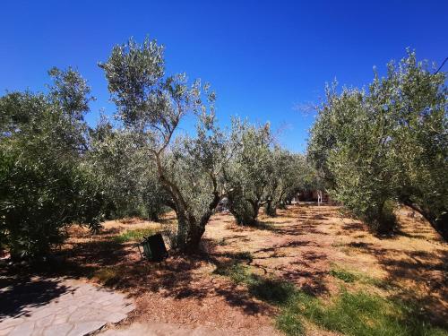 Φυσικό τοπίο κοντά σε αυτή η παραθεριστική κατοικία