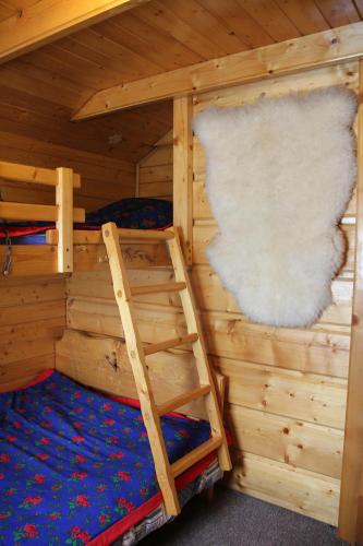 a bedroom with two bunk beds with a ladder in it at Domek pod zielonym lasem in Zakopane