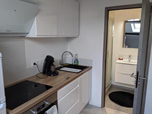 a kitchen with a sink and a counter top at Beau Studio Centre Ville Paul Bert in Valence