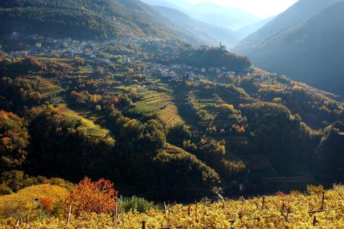 Un paisaje natural cerca of the bed and breakfast