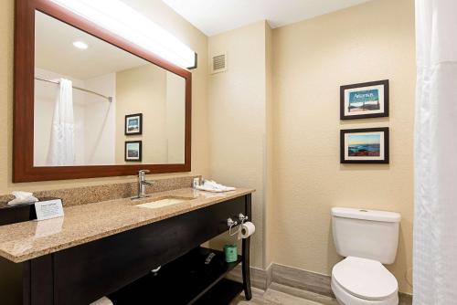 a bathroom with a toilet and a sink with a mirror at Comfort Inn & Suites Pine Bluff in Pine Bluff
