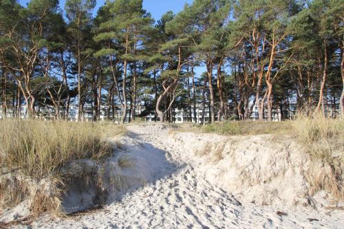 una pila de arena en una playa con árboles en el fondo en Strandresidenz Appartement Haubentaucher G22, en Binz