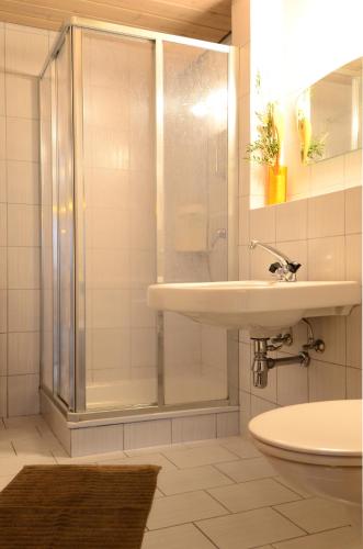 a bathroom with a shower and a sink at Ferienhaus Schnitzhof in Abtenau