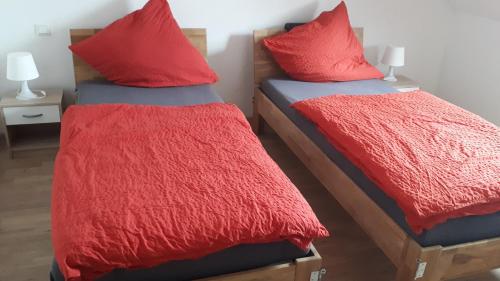 two twin beds with red pillows in a room at Privatzimmer Popp-Hessenauer in Ansbach