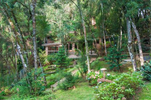 a house in the middle of a forest at Estalagem Wiesbaden in Monte Verde