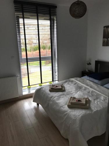 Afbeelding uit fotogalerij van Apartament Alihouse in Bydgoszcz