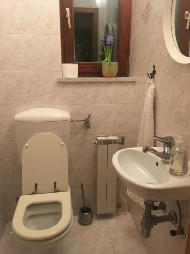 a bathroom with a toilet and a sink at Panoramic view near the beach in Portotož+P in Portorož