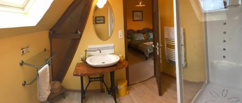 La salle de bains est pourvue d'un lavabo, d'un miroir et d'une douche. dans l'établissement Les Petits Gallais, à Saint-Carreuc