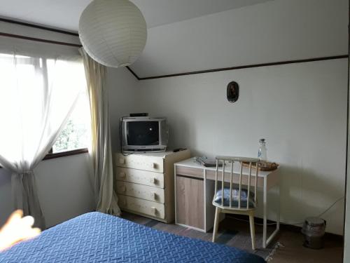 a bedroom with a bed and a tv on a dresser at Hospedaje Bernardita in Valdivia