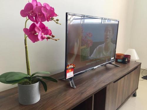 a tv sitting on top of a table with a plant at ORKED BELLINA, 3 Bedroom apartment, near Pantai Batu Burok, NETFLIXWIFIYOUTUBE in Kuala Terengganu