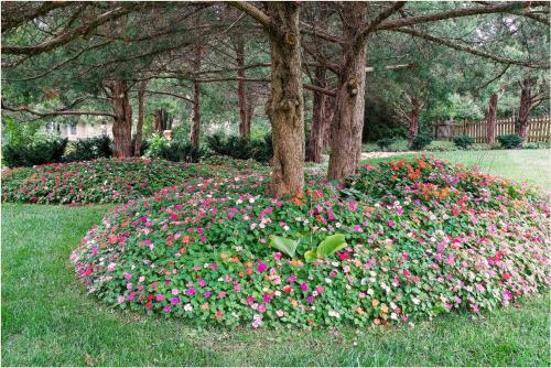 Ein Garten an der Unterkunft Charming Hideaway with Patio 3 Mi to Kansas State!