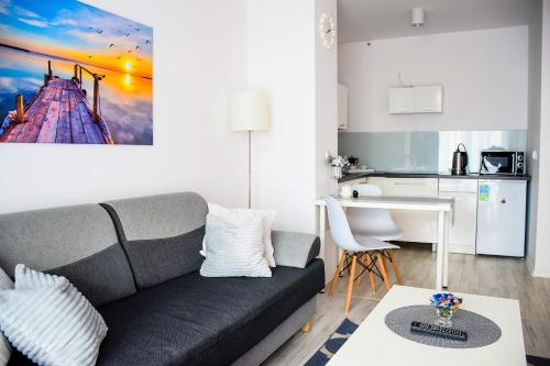 ein Wohnzimmer mit einem Sofa und einer Küche in der Unterkunft Blue Dream in Lublin