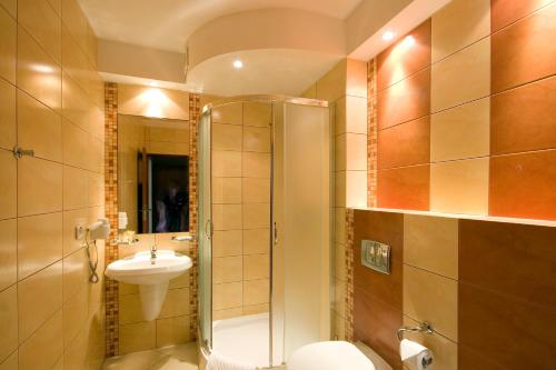 a bathroom with a shower and a toilet and a sink at Hotel Przedwiośnie in Masłów